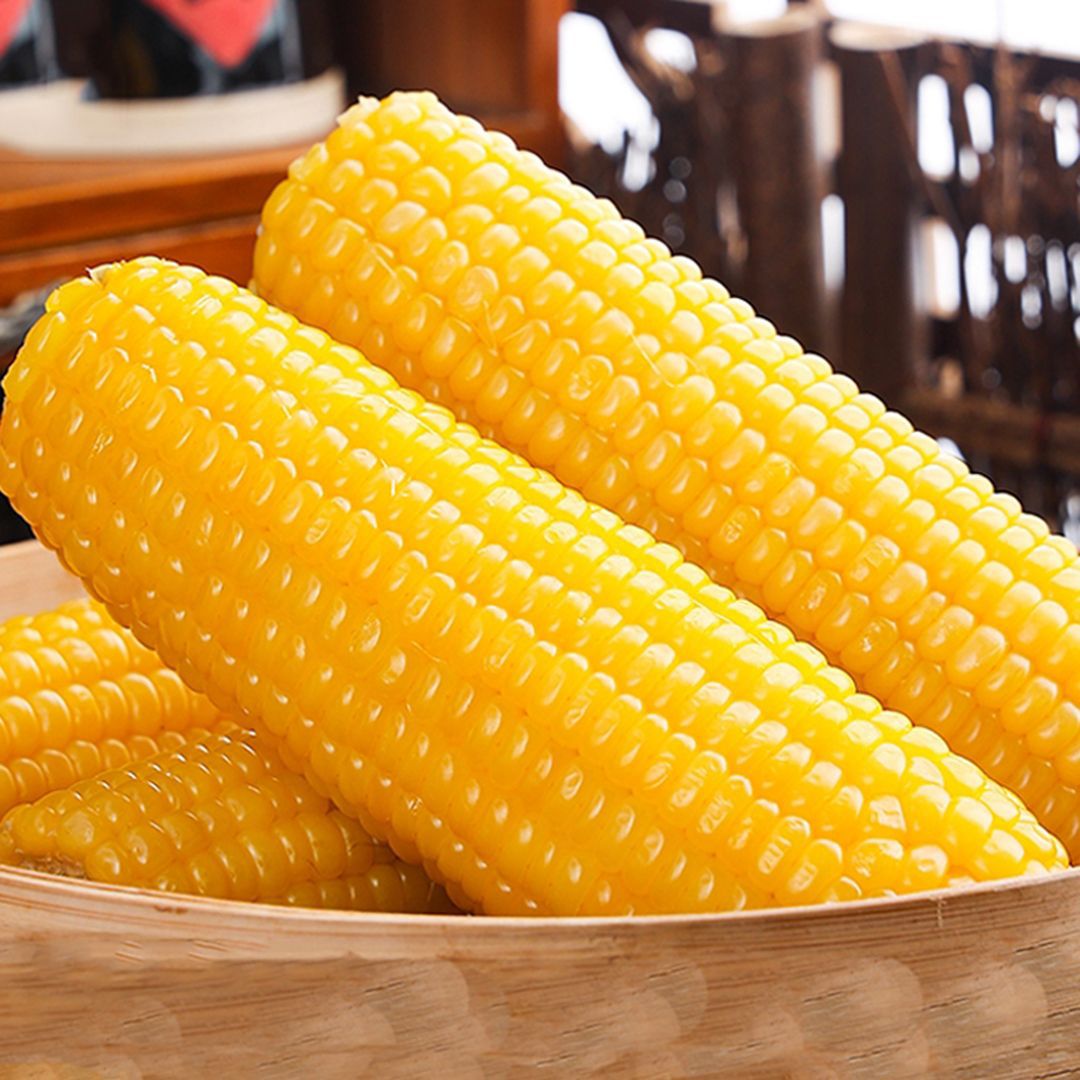 Yugu Rice Field Northeast Yellow Sweet Corn on the Cob, 8 Pieces, Vacuum-Packed, Freshly Picked, Sweet Corn, Sticky Coarse Grain, Meal Replacement Corn