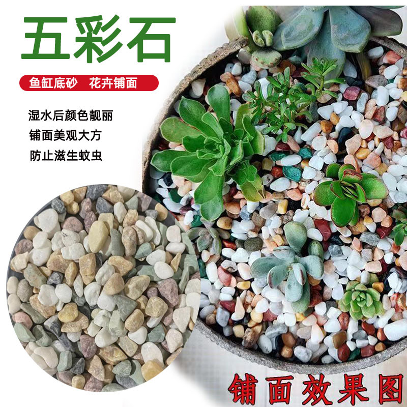 Цветной камень для суккулентов, субстрат для аквариумного ландшафта, специальный для декора аквариума