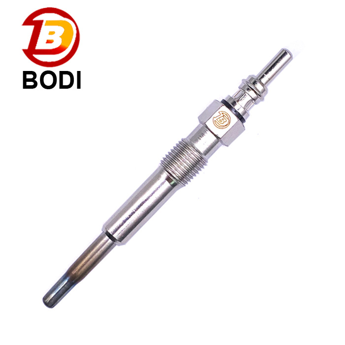 Direct Supply Double Wire Glow Plug Glow Plug 0250202022 0100226227
