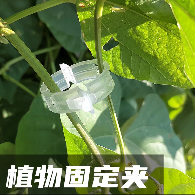 Plant melon and fruit plant clip plastic Vine clip branch clip hanging vine clip Vine clip tomato clip Vine fixed clip