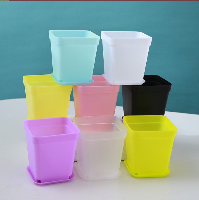 New Small Black Square Wholesale Plastic Flower Pot Mini Colorful Fleshy Flower Pot Seedling Small Square Pot Plant Manufacturers