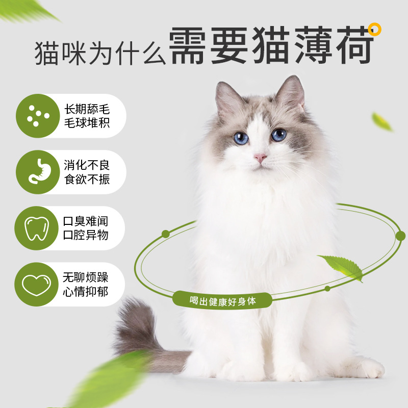 Catnip powder 10 packs of cat snacks hair ball cat grass powder into cat kitten to promote digestion four seasons universal cat tea