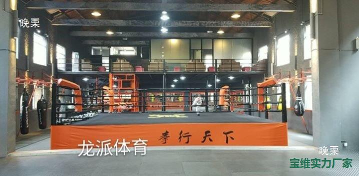 Indoor Fence Boxing Ring Training Table Muay Thai Sanda Ring Standard Competition Martial Arts Floor Boxing Ring Mma