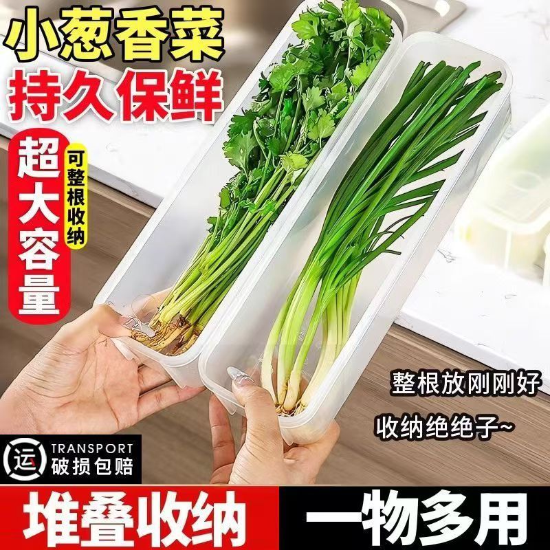 Cilantro, scallion and scallion fresh-keeping box for refrigerator storage fresh-keeping artifact food-grade noodles, egg vegetable, scallion, ginger and garlic