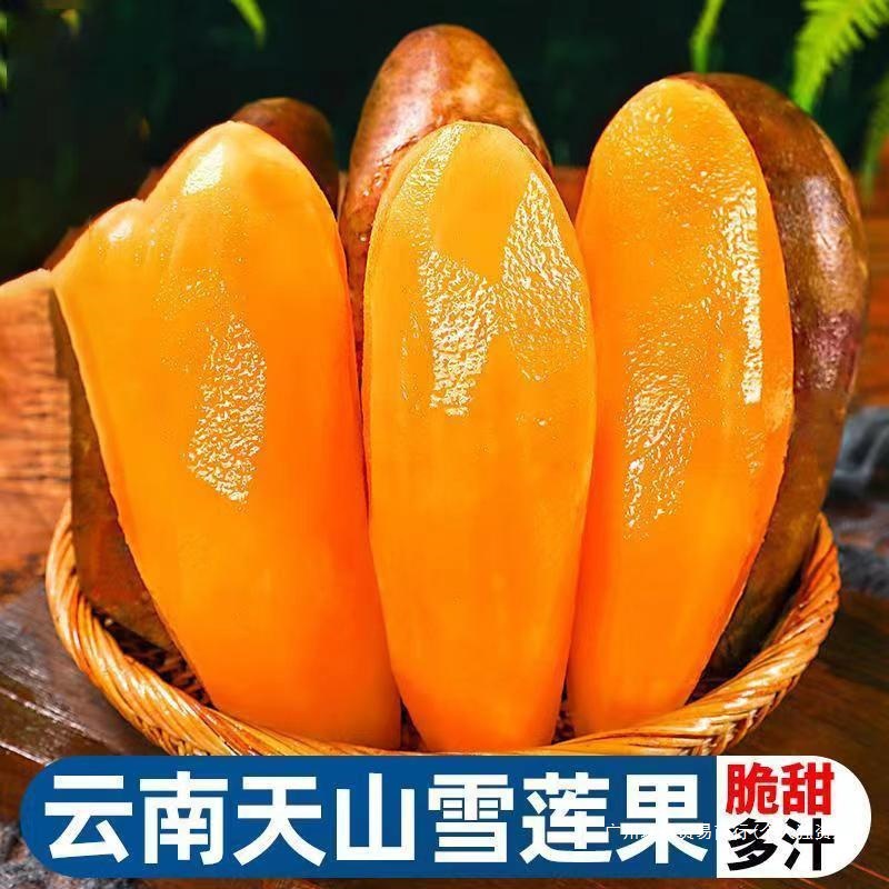 2025 Yunnan Plateau Fairy Fruit Seasonal Fresh Fruit Tianshan Snow Lotus Freshly Digging Fruit Freshly Crisp Sweet Snow Lotus Fruit in the Snow