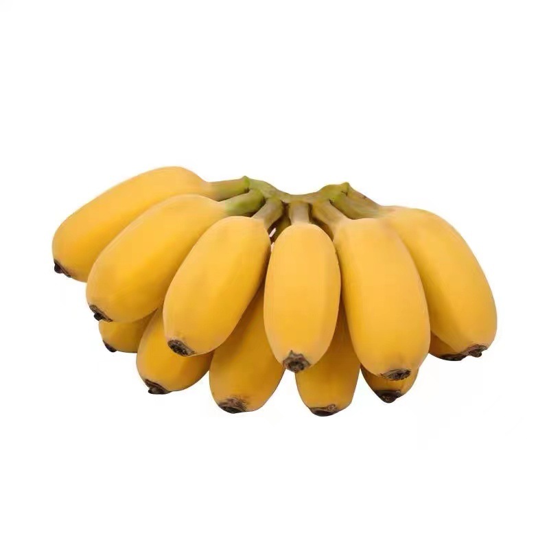 Guangxi Apple Banana Fresh Banana Seasonal Fresh Fruit Fragrant Banana Freshly Picked Banana Drop Shipping