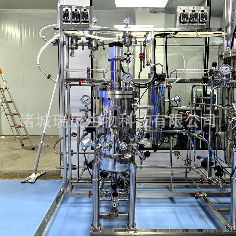 Ruisheng Machinery Sells Laboratory Fermentation Tanks 30L Stainless Steel Small Seed Tanks Fully Automatic Fermentation Tanks