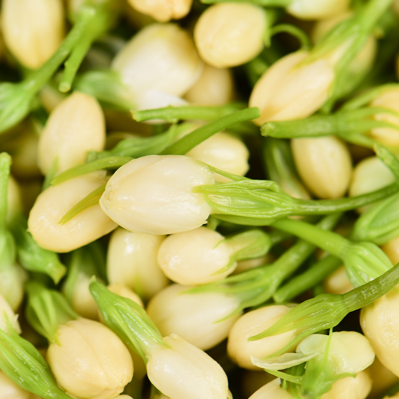 Yunnan Jasmine 1Kg/Bag Salted Soaked in Water to Preserve Fresh Jasmine Wildflowers Stir-Fried Vegetables Stir-Fried Eggs Cold Salad Special Dishes