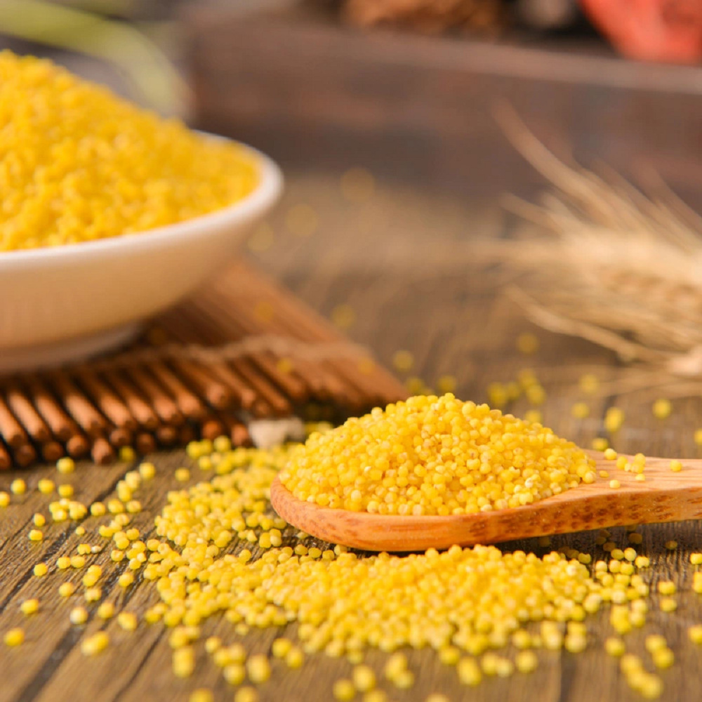 Inner Mongolia Chifeng gold seedling millet 500g vacuum new rice yellow millet grain millet porridge millet wholesale