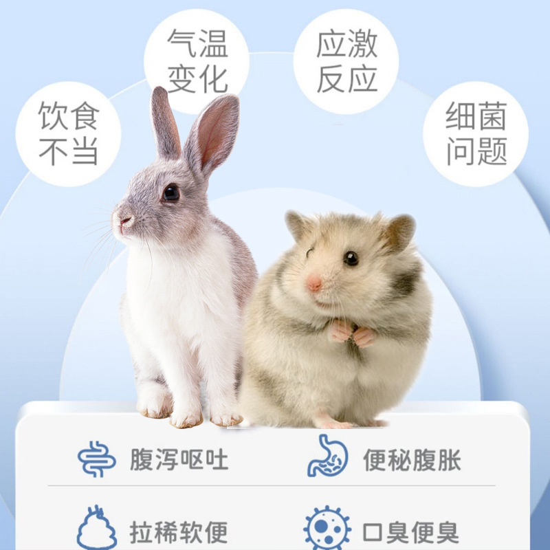 Special Medicine for Rabbits with Diarrhea, Hamster Soft Stool and Diarrhea, Pet Anti-Diarrhea Gastrointestinal Medicine, Chinchilla, Guinea Pig Diarrhea Medicine