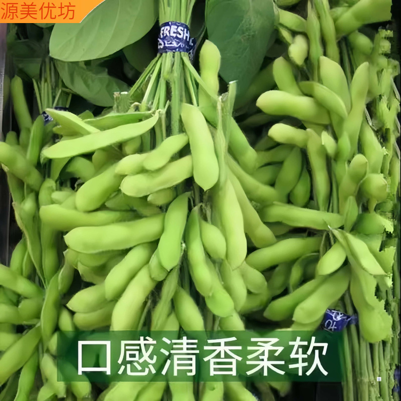 Whole Box of Edamame, Freshly Picked Shelled Beans, Self-Grown Farm Fresh and Tender Seasonal Vegetables, Green Beans Wholesale