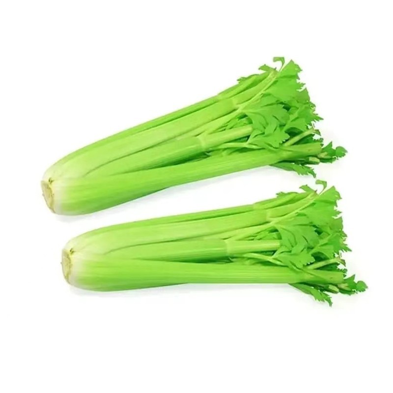 Juiced Celery, Fresh Large Half-Leaf Celery, Green Vegetables, Tender Heart Greens, Parsley and Ice, Freshly Picked 2.5kg