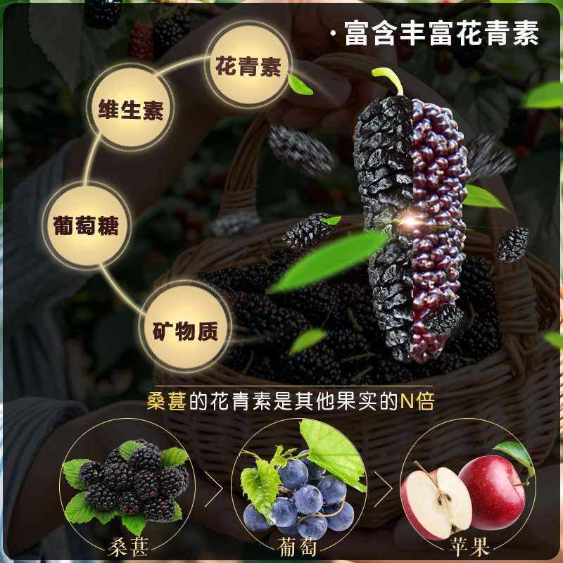 Wholesale Dried Black Mulberries, Ripe Mulberries Without Sand or Sulfur, Dried Mulberries for Tea, Premium Extra-Large Fruit