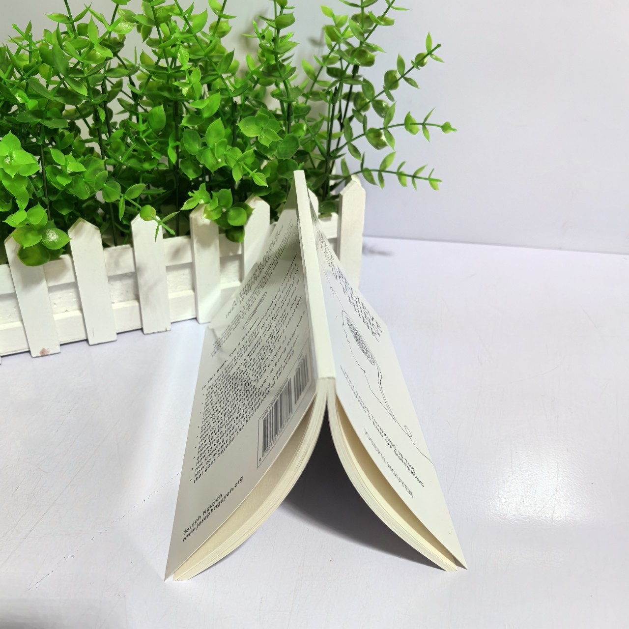 Don'T Believe Everything You Think