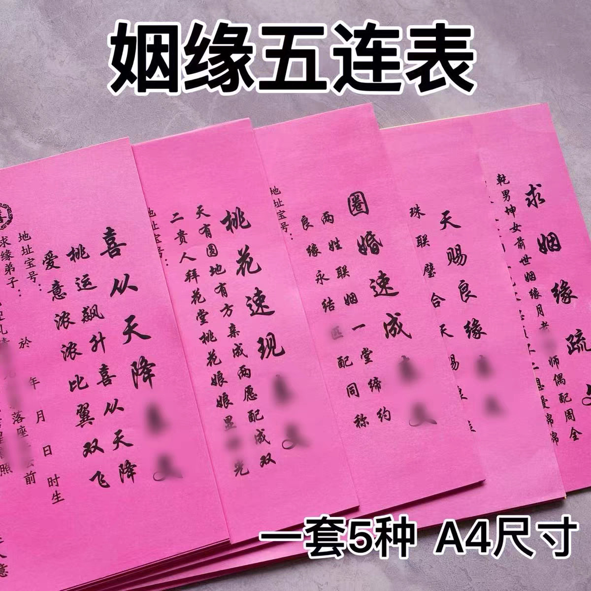 [Master Recommendation] Five Consecutive Replenishments of the Treasury, New A4 Size Set of 5 Treasury Sets, Five Consecutive Colors