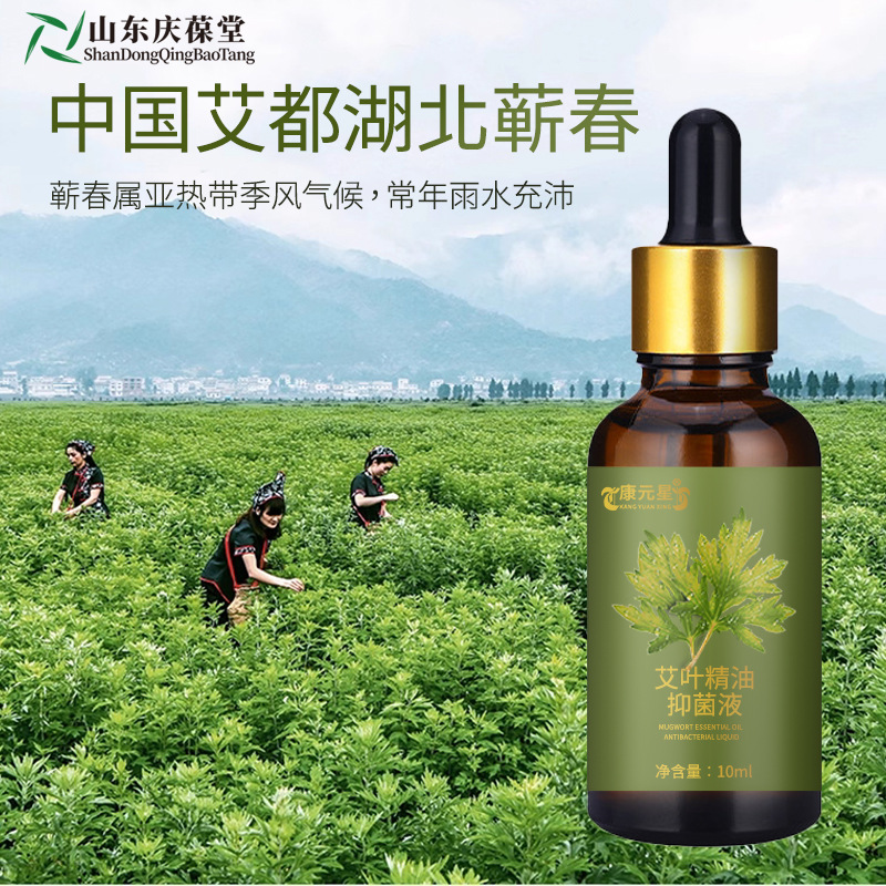 Mugwort Essential Oil Processing and Customization, Cosmetics Production and R&D, Oem Manufacturer Shandong Qingbaotang
