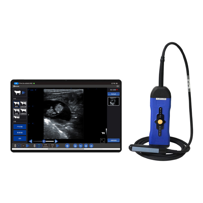 High-Definition Wireless Cow and Horse B-Ultrasound Pregnancy Tester Boxianglai Cow B-Ultrasound Machine Cow Corpus Luteum Detection B-Ultrasound 21-Day Pregnancy Test