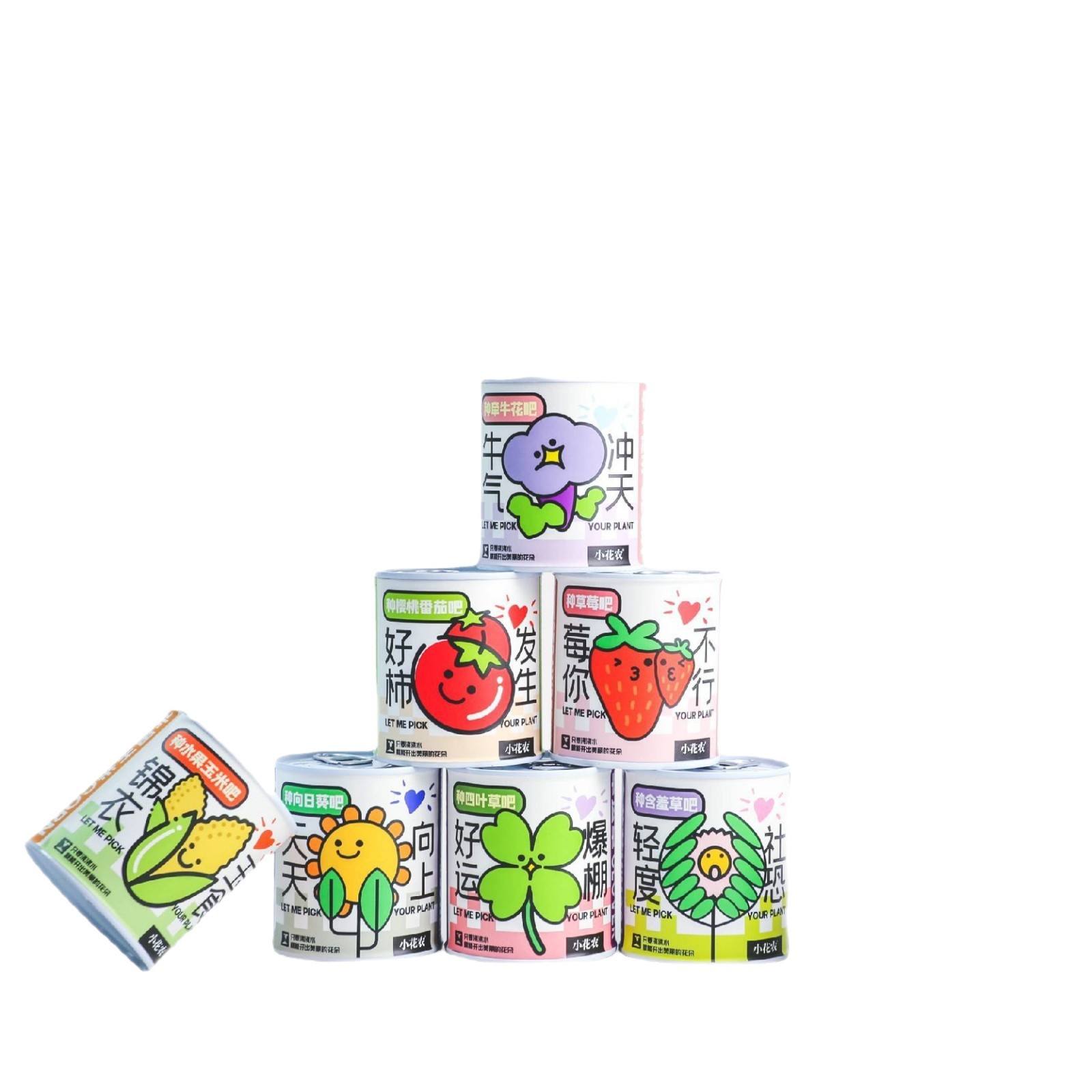 Back-To-School Gift Blind Box Potted Plant Kindergarten Gift Indoor Planting Flower Seeds Student Desktop Green Plant Potted Plant