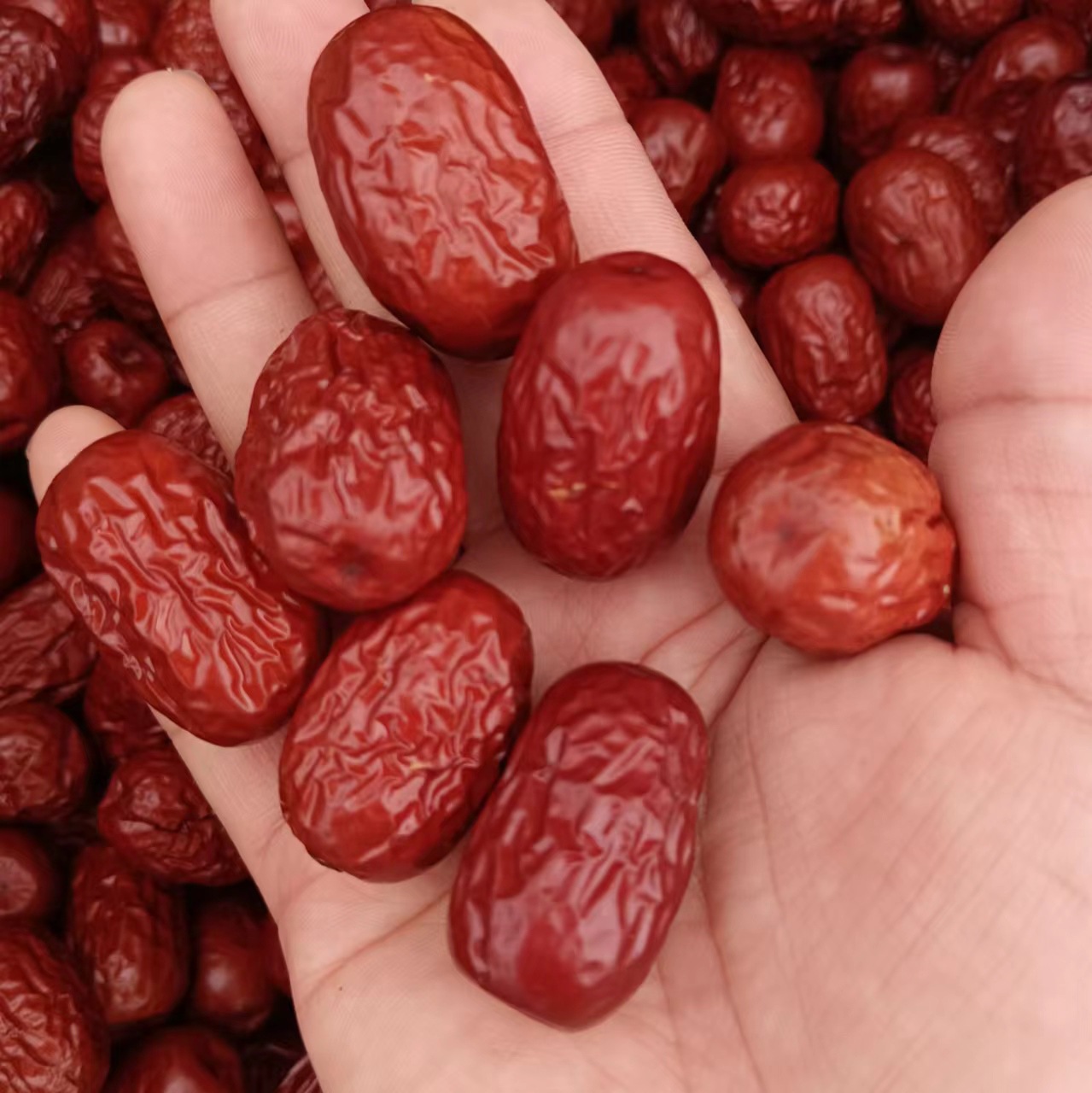 Whole Box Wholesale Xinjiang Red Dates Bagged Ruoqiang Gray Dates Fresh Ready-To-Eat Dates Porridge Soup Bag Rice Dumplings Xinjiang Gray Dates