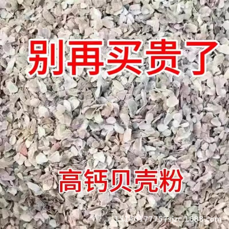 High calcium oyster shell powder anti-pecking egg calcium bone feeding chicken duck goose pigeon rutin animal husbandry special additive feed