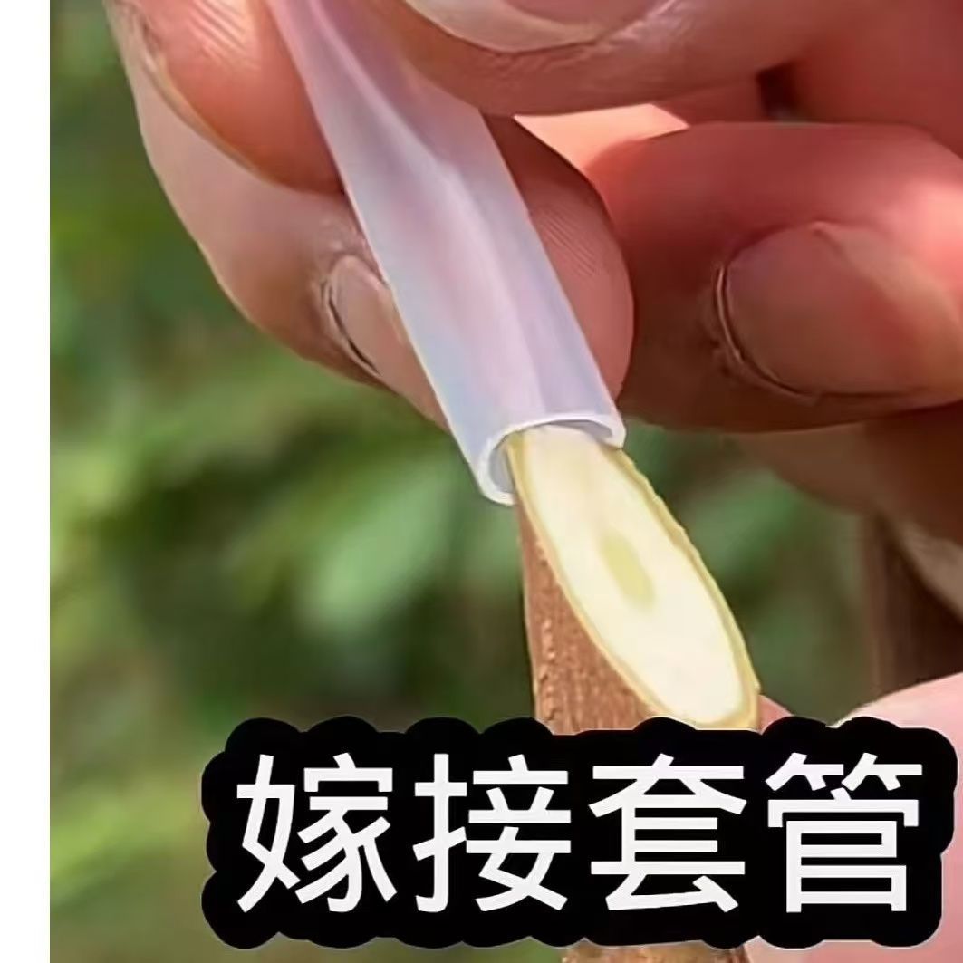 Grafting casing Fruit tree Flower passion fruit Rose Bougainvillea Grafting Special casing Grafting Artifact Other