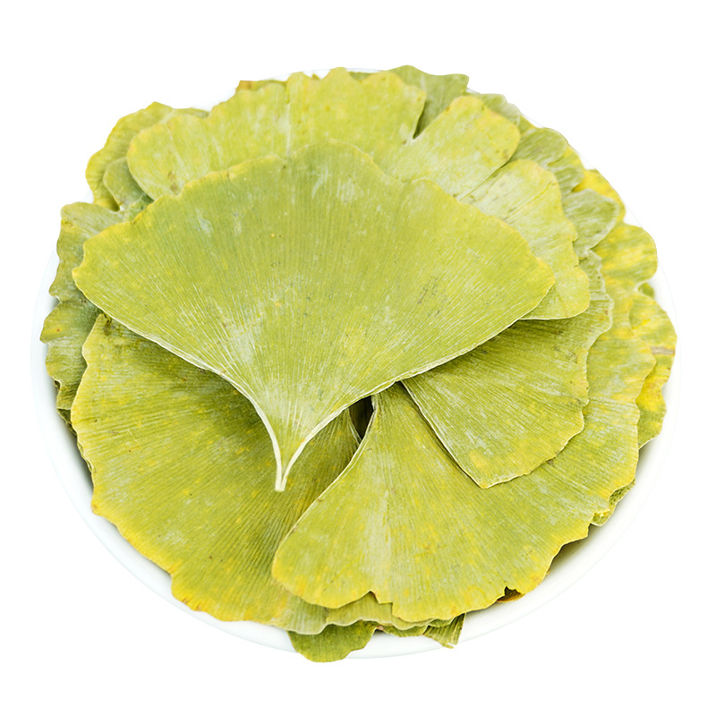 Ginkgo Leaf Chinese Herbal Medicine 500g Ginkgo Leaf Tea Genuine New Arrival White Ginkgo Leaves Dried Ginkgo Leaves Whole Piece for Tea and Water