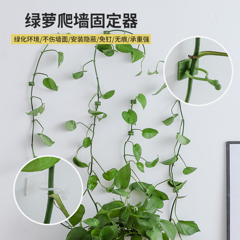 Держатель для вьющихся растений, бесшумный фиксатор для стен, самоклеящийся крючок для управления кабелями