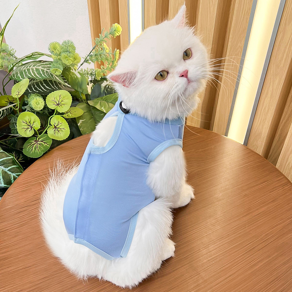 Pet Supplies Cat Clothes Cat Sterilizing Post-Sterilizing Clothing Anti-Lick and Bite Soft Super Elastic Short Blue Cat Hair-Free Supplies