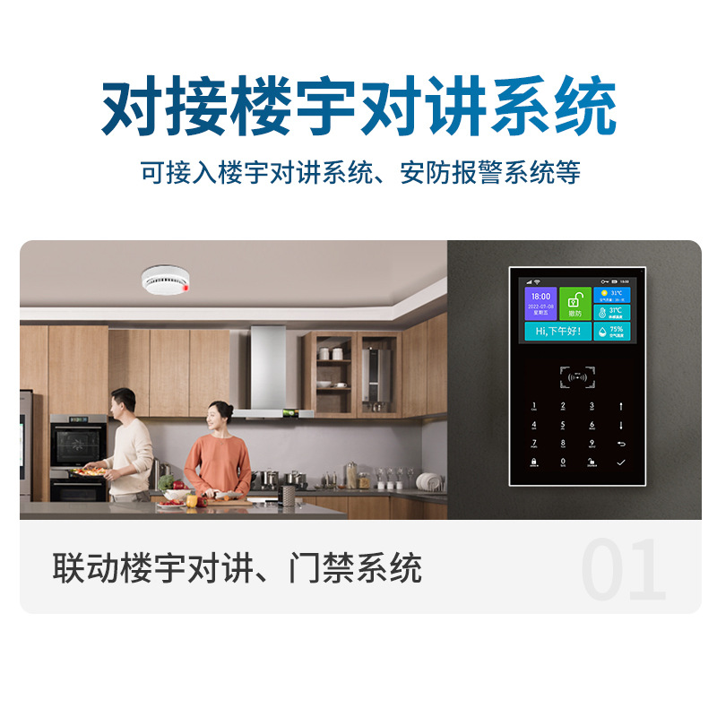 Cealing gas alarm wired gas leak detector 12V natural gas alarm SG-2008 wholesale