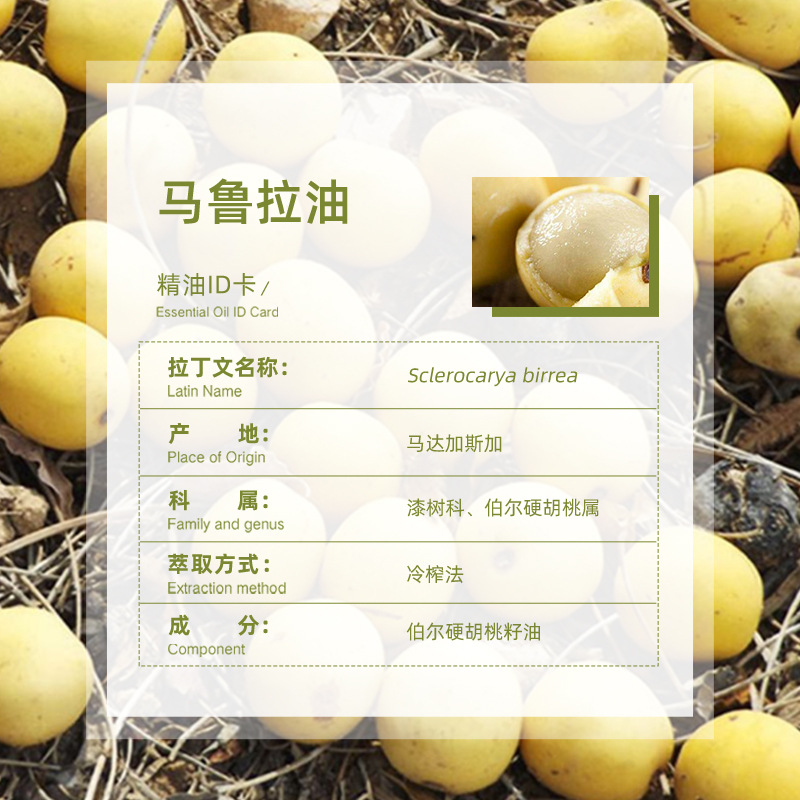 Direct Supply of Madagascar Marula Oil Cold-Pressed Pure Aromatherapy Skin Care Raw Materials Wholesale Base Oil Marula Oil