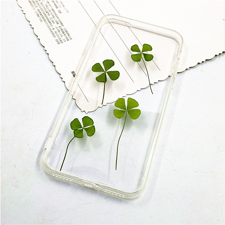 Four-leaf clover embossed dried flower wholesale mobile phone case plant specimen teaching photo frame bookmark handmade children's flower drop glue