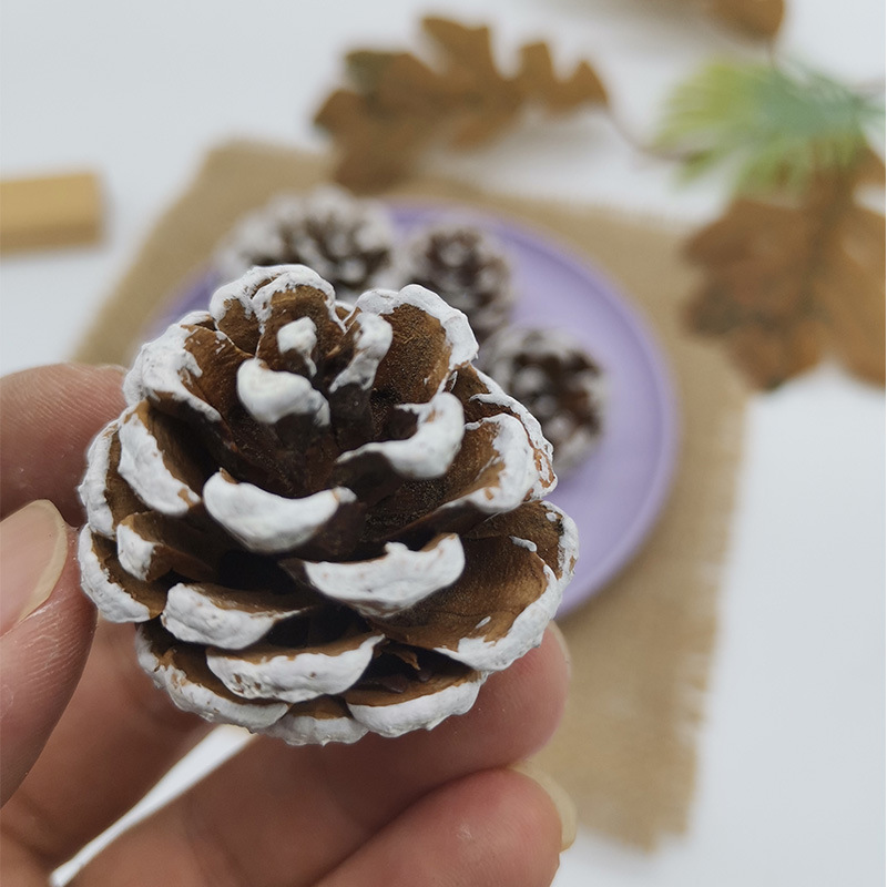 Natural pine cone Christmas decoration wood dried flower eternal flower dyed white pine cone diy accessories Christmas Fruit Wholesale