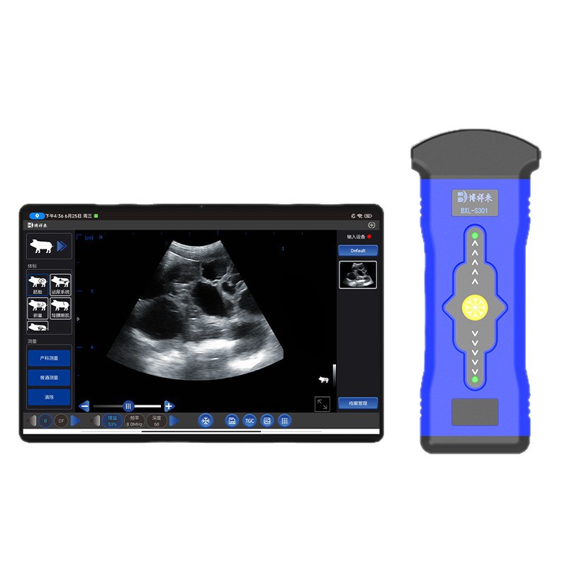 Intelligent Ai Pig and Sheep Pregnancy Tester, One-Click Data Upload, Pig Follicle Size Detection, Detection of Estrus in Sows