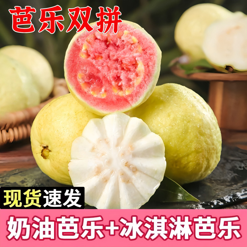 Fujian Zhangzhou Soft, Waxy and Sweet Pearl Guava Fruit Red and White Double Guava Large Fruit Wholesale Dropshipping