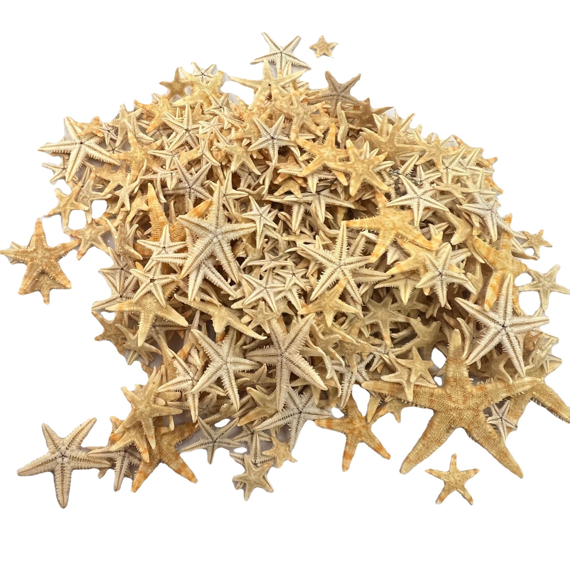 Spot wholesale mini starfish DIY handmade decorative materials jewelry accessories crystal drop glue fish tank landscaping starfish