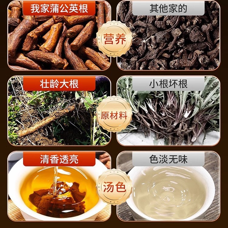 Dandelion Root 150g Canned Non-Herbal Medicinal Product Direct Supply from Manufacturer Wholesale and Delivery Dandelion Root Supports Customization