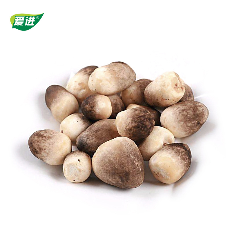 Jiangxi specialty Aijin mushroom farm dry goods orchid mushroom use mushroom local specialty dried mushroom bag 260g