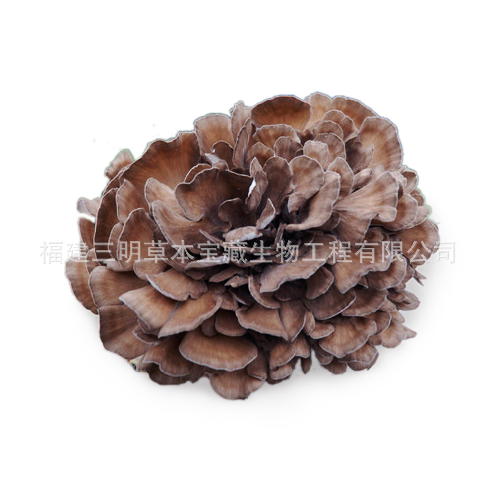 Fujian origin Grifola flower dried goods wholesale Grifola flower small flower soup edible mushroom in stock bags can be processed on behalf