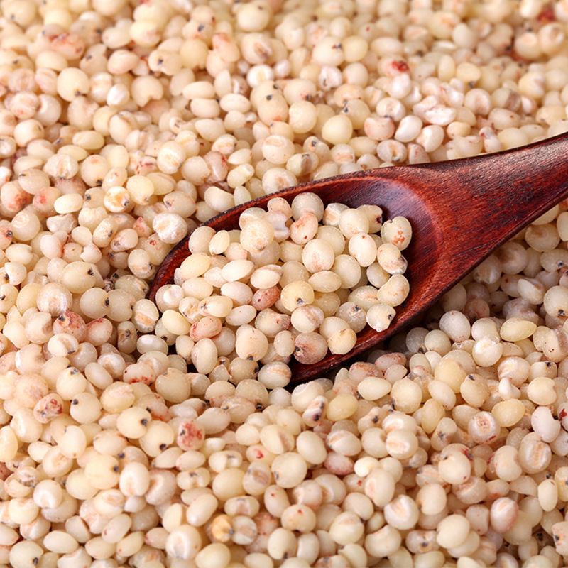Ripe White Sorghum Rice Low Temperature Baking Ripe Grain Milling Raw Material Shelling Sorghum Rice Sorghum Kernel Factory Straight Hair