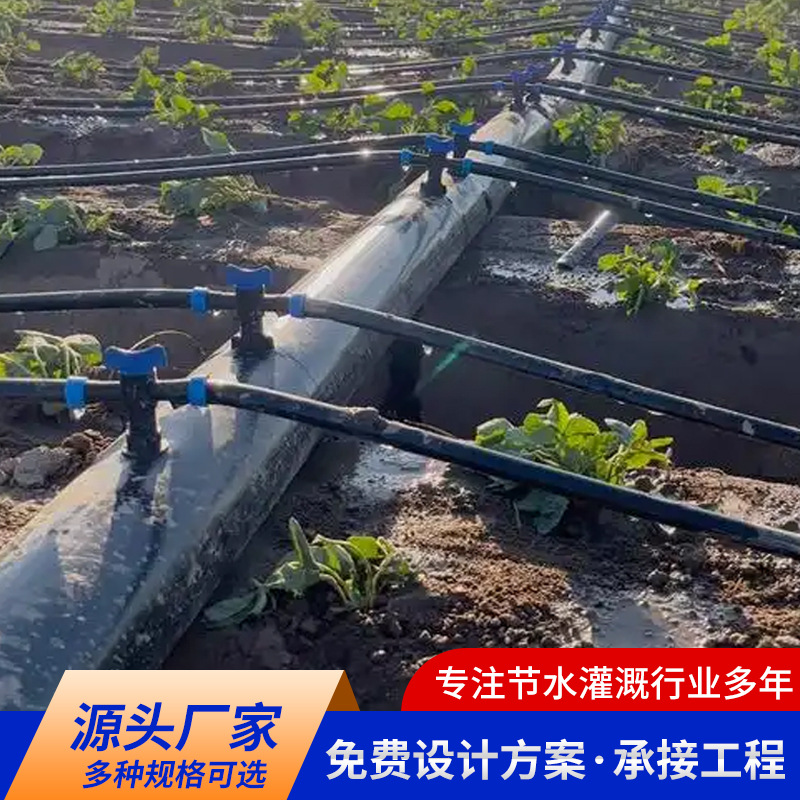 Agricultural black double-hole drip irrigation belt greenhouse vegetable field drip irrigation water-saving irrigation 16mm patch drip irrigation belt