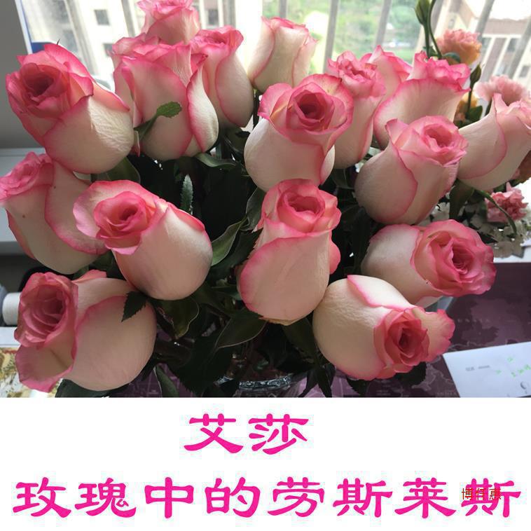 Flower Bouquet Direct Delivery from Yunnan Kunming Base, Perfume Lilies Express Delivery in the Same City, Roses 520 Valentine's Day Gift