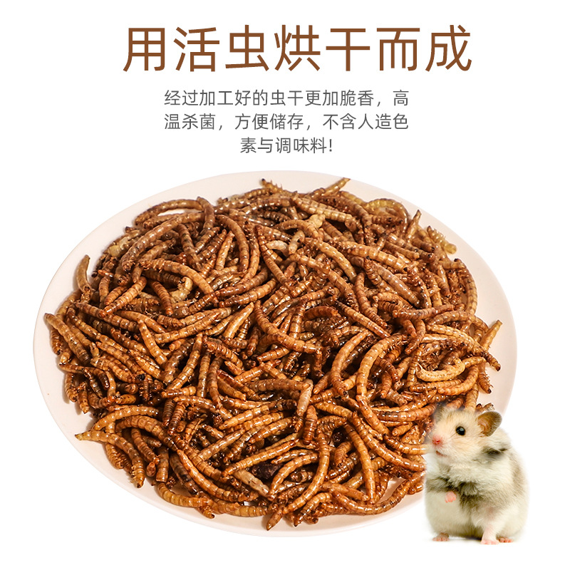 Small hamster food snacks bread worm dried high protein Golden Bear sugar glider hedgehog pet nutrition feed food