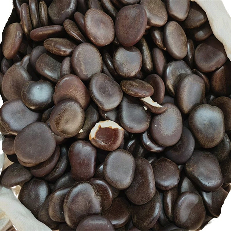 Large Wholesale Yin Yangzi Guojianglongzi Bodhizi Wood Waist Soaked in Wine Flat Type