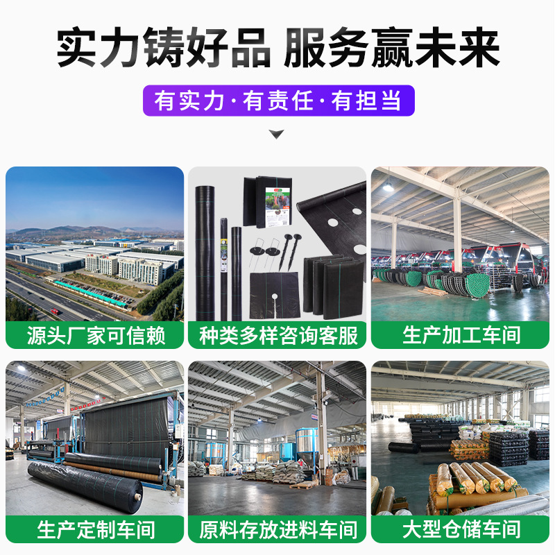 Water-Permeable Weed Control Fabric Wholesale Cross-Border Amazon Greenhouse Agricultural Black Fruit Tree Fabric Gardening Mulch Fabric