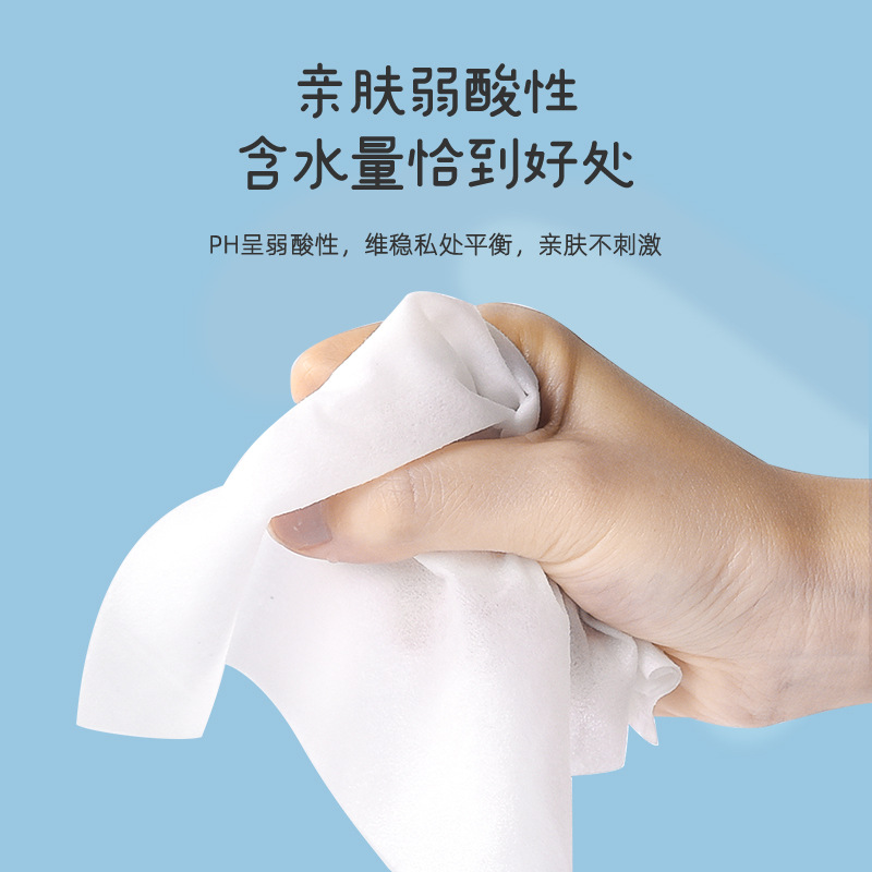 80 pieces of wet toilet paper for planting and protecting * 10 large packages of degradable wet wipes baby wipe buttocks portable wet wipes manufacturers
