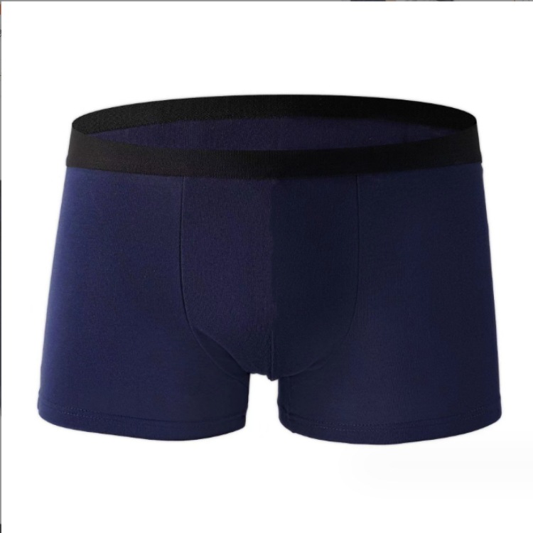 Men's Underwear Summer Boys' Boxers Breathable Sexy Men's Shorts Teenager Mid-Waist plus size Men's Shorts