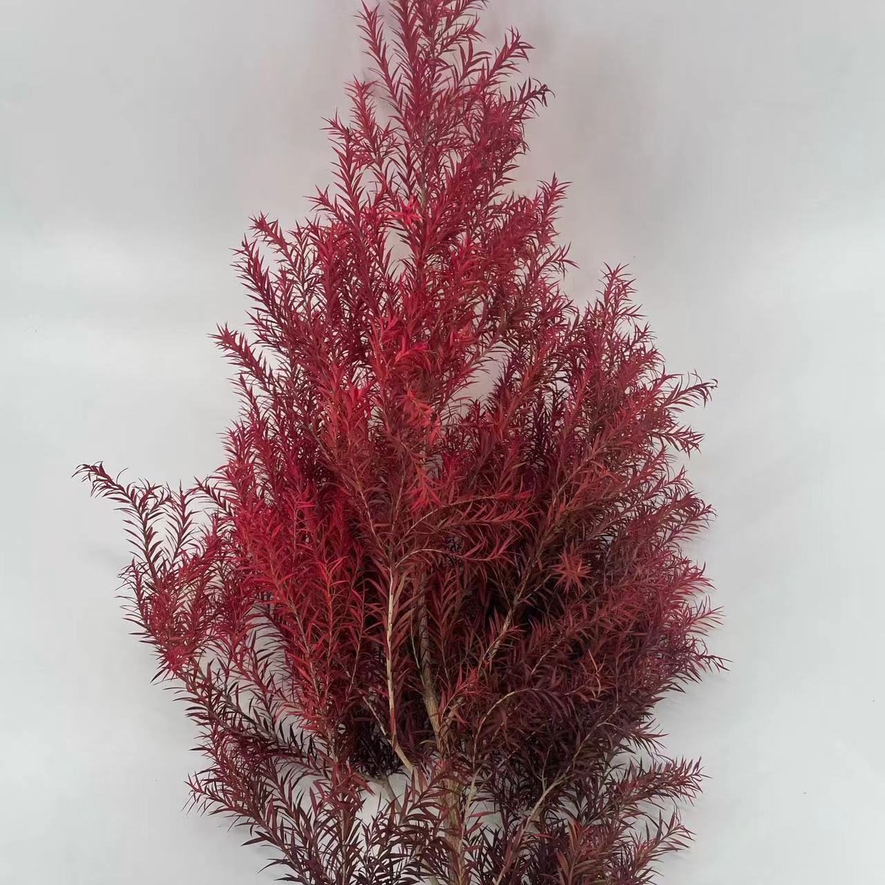 Preserved Mille Layer Gold Flowers, Preserved Flowers and Leaves, Mille Layer Gold Bouquets with Materials, Flower Arrangements and Decorations, Yunnan Factory Wholesale