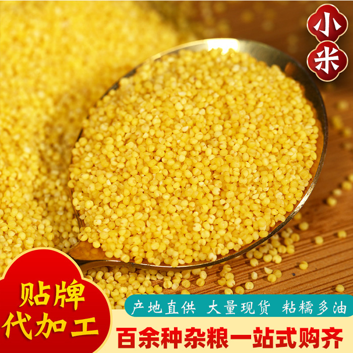 Оптовая продажа желтого проса, сезонный новый просо, 25кг