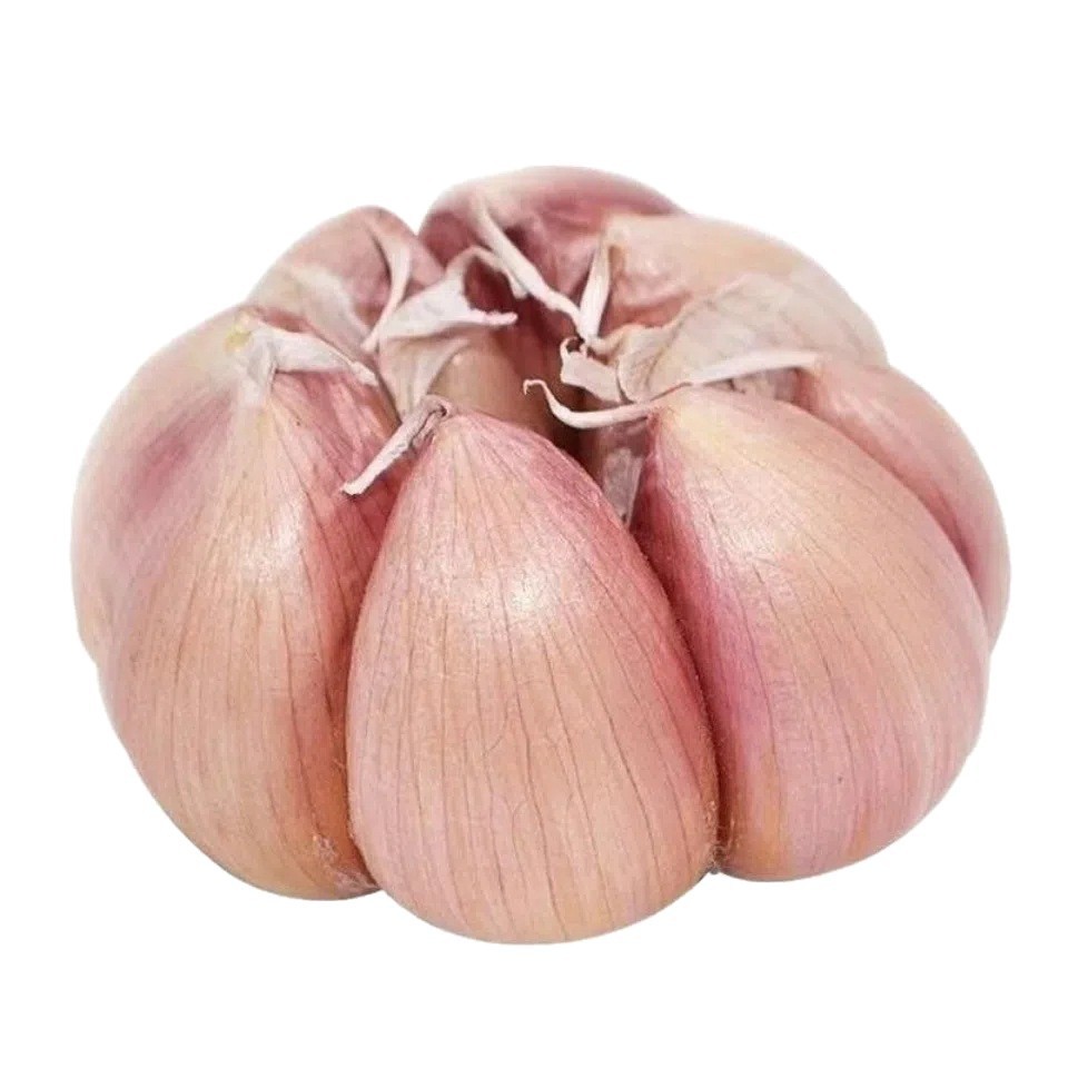 Purple-Skinned Garlic Wholesale Dried Garlic Heads Seasonal Fresh Vegetables Red-Skinned Kilograms Farm-Grown 5 Whole Boxes of Purple-Skinned Garlic