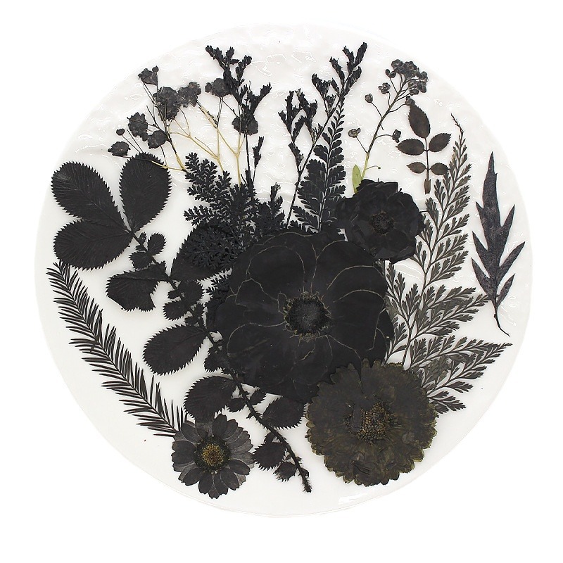 Black flower factory direct dried flower embossed black series of plant specimens real flower leaves flower material bag